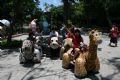 2010/07/04壽山ZOO